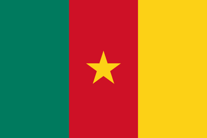 Flag of Cameroon