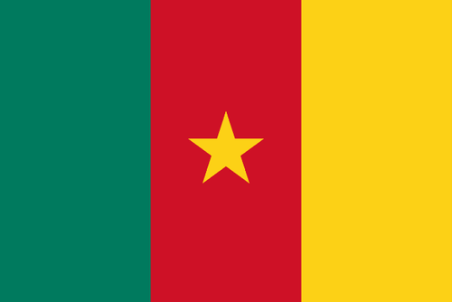 Flag of Cameroon