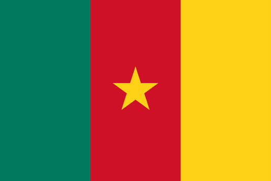 Flag of Cameroon